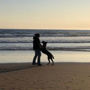 Meet your Posher, Deidre